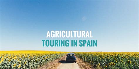  Visiones de la Agricultura Española: En Överväldigande Skildring av Tradition och Innovation